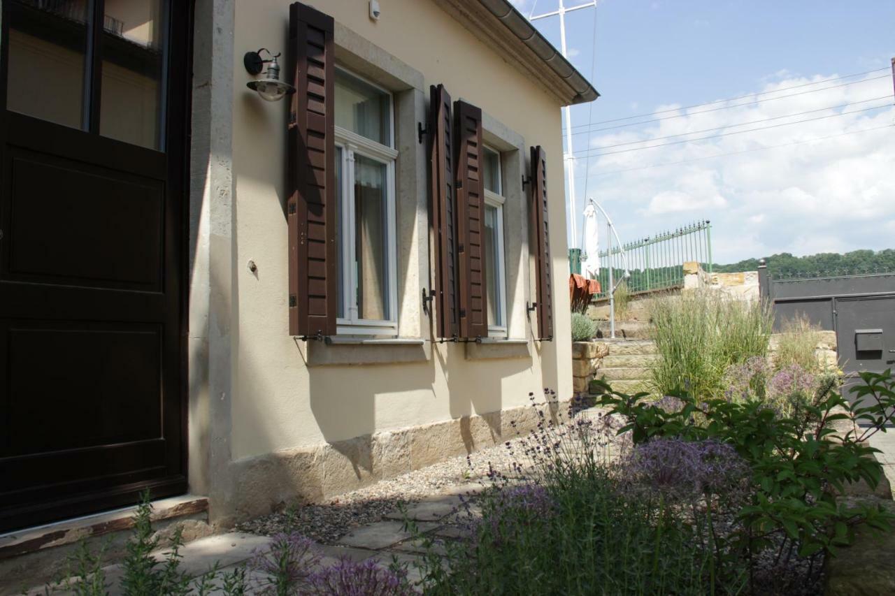 Ferienwohnung An Der Elbe Drezno Zewnętrze zdjęcie
