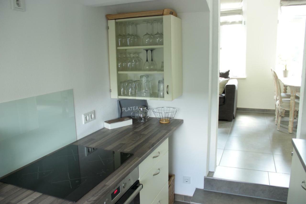 Ferienwohnung An Der Elbe Drezno Zewnętrze zdjęcie