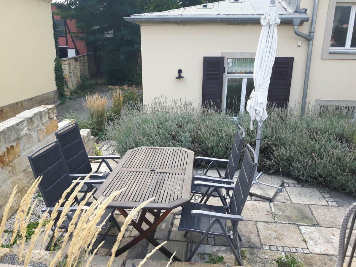 Ferienwohnung An Der Elbe Drezno Zewnętrze zdjęcie